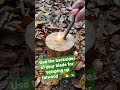 How to start a fire with fatwood 🪵🔥 #fire #bushcraft #shorts #hacks