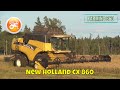 Harvest 2021 | New Holland CX860 combine harvesting oats