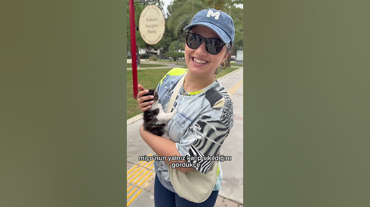İkinci kedimi sahiplenmeye gidiyorum 🥰 #kedi #cat