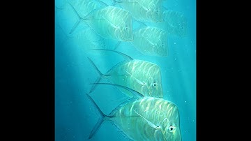 Photoshop Tutorial - Creating a group of repeated images (Aaron