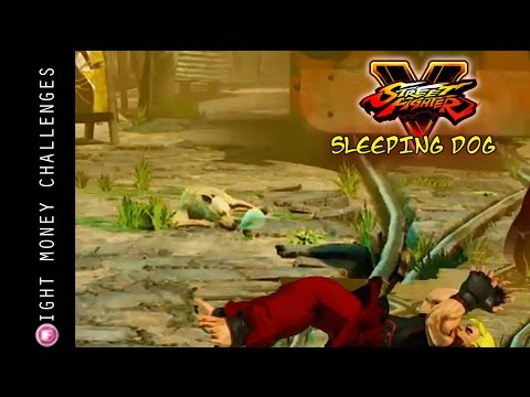 street fighter v sleeping dog street fighter v sleeping dog