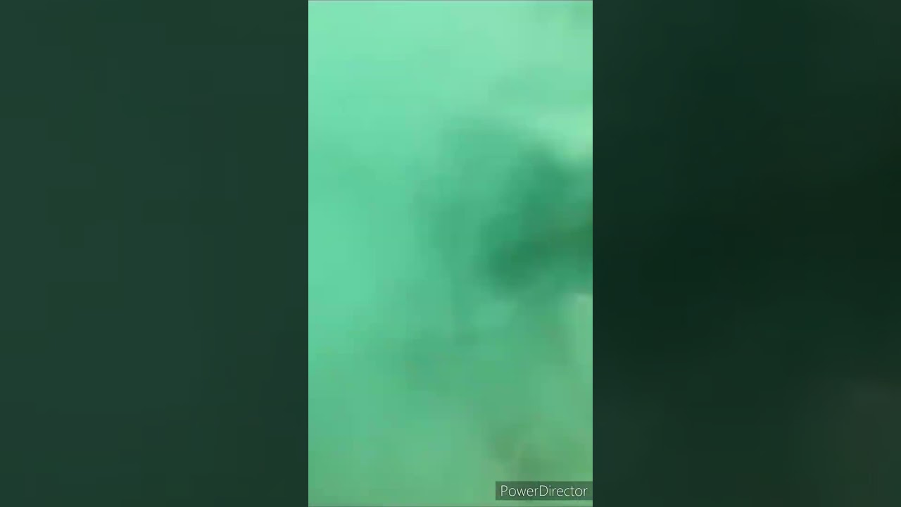 PUBG / BGMI Smoke Grenade in real life 😍 