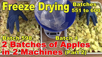 Freeze Drying - The Next 50 Batches - 2 Batches of Apples in 2 Machines - Batches 598 & 4 - Part 2