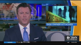 Dog Owner Sent To The Hospital After Thieves Attack Him And Steal His Dog