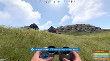 How to Ping with Binoculars in Rust