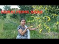 Sanai Ke Phool Ki Sabji | सनई के फूल की सवादिस्ट सब्जी | How to make sanai ke phool ki sabji