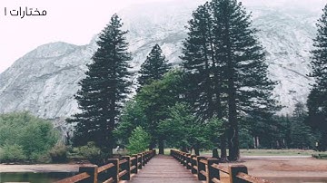 تلاوة صوت جميل القارئ عمر البيتي