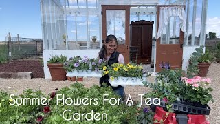 Dreamy Summer Annuals to Create a Romantic Cottage Garden (Greenhouse Finds)