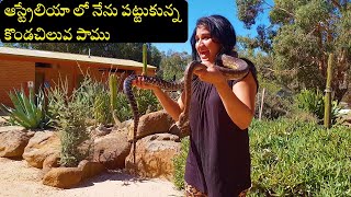 Australia || Grampians || Easter Vacation || Road trip || Day 2 Part 1- Halls Gap Zoo | Telugu vlogs