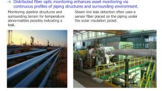 Distributed Temperature Sensing