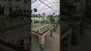 Relaxing Sunday Greenhouse Tour