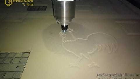 PHILICAM 1325 CNC Router Engraving Animal Working Test Video