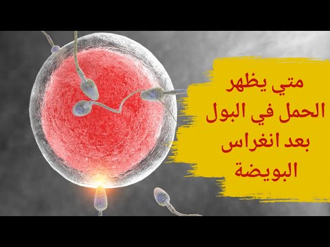 متى يظهر الحمل في البول بعد انغراس البويضة متى يظهر هرمون الحمل بعد انغراس البويضة