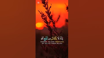 ولا تيأسوا من روح الله#سورة_يوسف #خالد_الجليل #قرآن