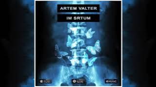 Artem Valter - Im Srtum