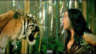 Katy Perry - Roar ft. Trippa G (Remix / Audio)