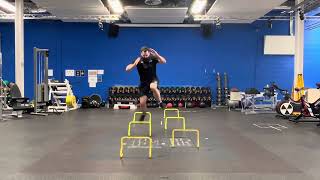 Single Leg Zig-Zag Hurdle Jumps (same leg)