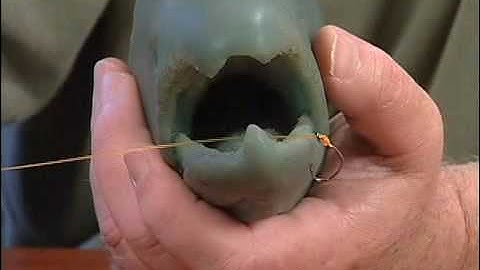 Circle Hook Dynamics