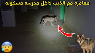 مغامره مع الذيب داخل مدرسه مسكونه/قام يطارد الجن!!🐺😱🔥