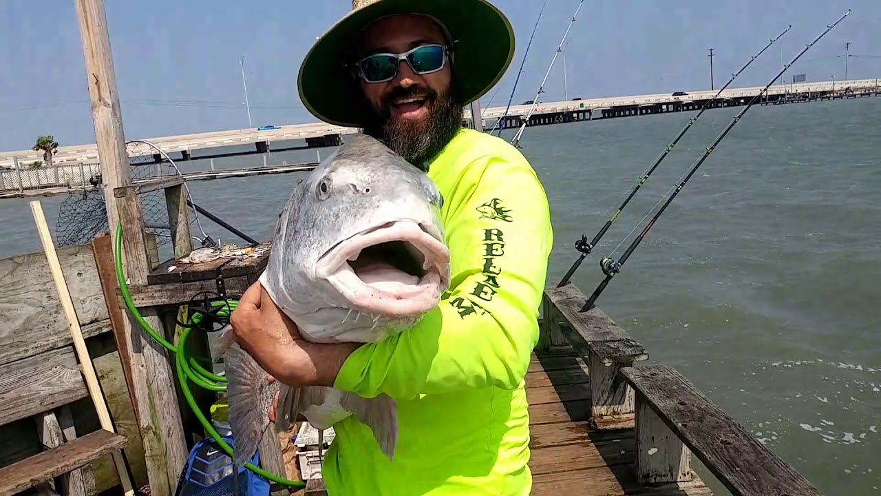 Like a Boss Saltwater fishing Monster catches on Local Cosway Pier