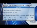 Cyclosporiasis cases top 289 in Kansas, KDHE says