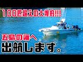【爆釣】マイボードでサビキ釣り!100匹越えで船上パニック
