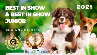 BRD-ONLINE ЛЕТО 2021 Best in Show and Best in Show Junior HD Качество