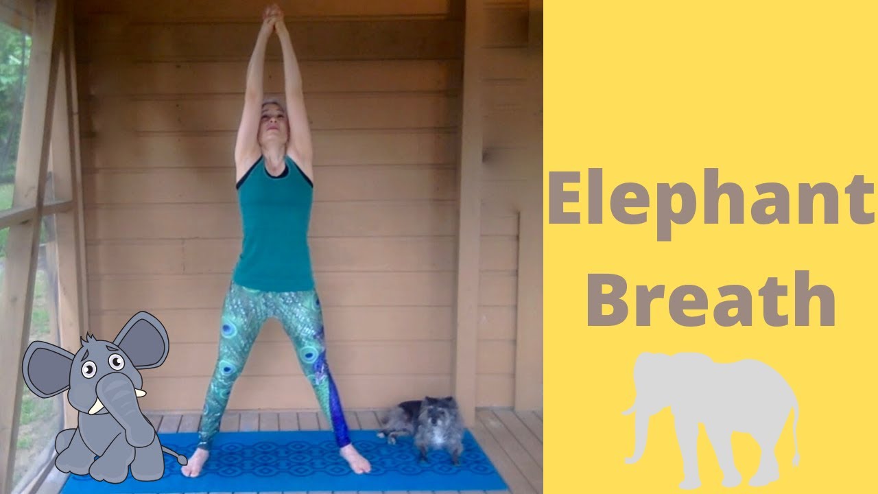 Kids Yoga Elephant Breath YouTube