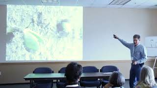 Organic Grain Transition | Gary McDonald