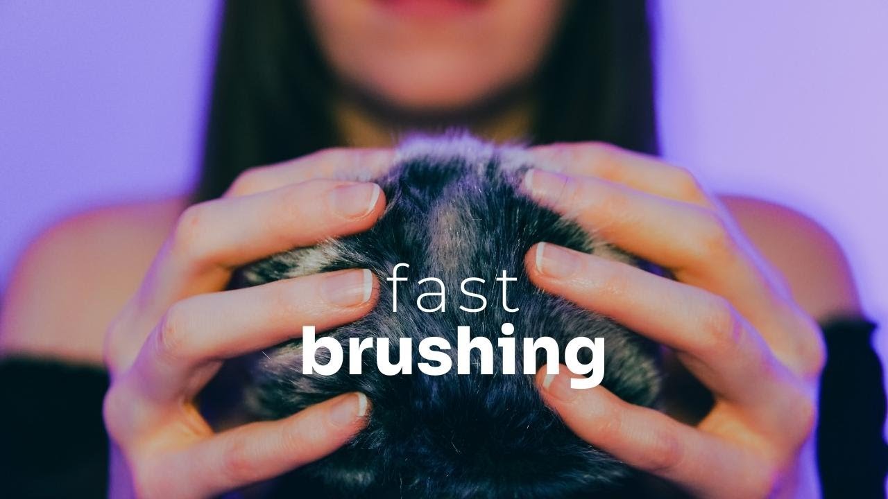 ASMR | fast gentle mic brushing (no talking) - YouTube