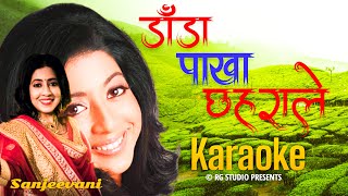 Dada Pakha Chhaharale Karaoke with lyric | Sanjeevani Karaoke
