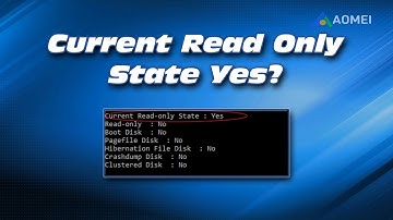 Schijf geeft de huidige alleen-lezenstatus weer Ja? Eenvoudige reparatiehandleiding