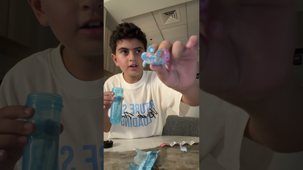 Mr beast part2