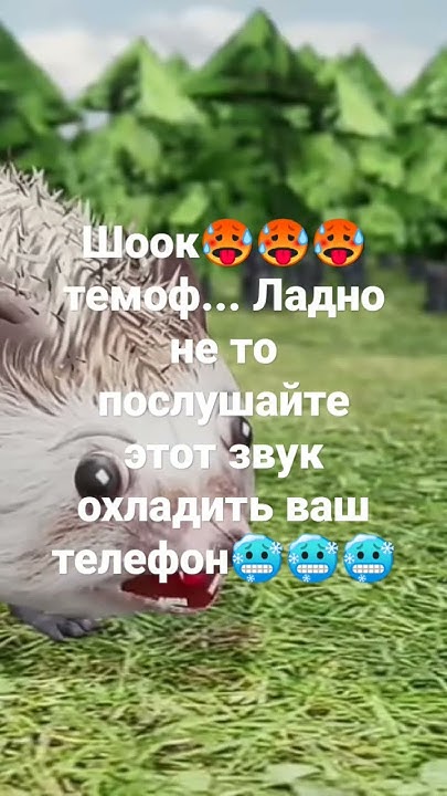 шокк - YouTube