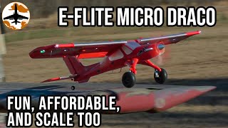 Good Things Come in Small Packages  Eflite Micro Draco 800mm