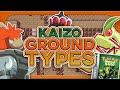 Can You Beat Pokemon Emerald Kaizo With Only Ground Types?! (No Items, HARDEST ROM HACK EVER)