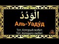 Имя Аллаха «аль-Уадуд» - Тот который любит, Тот которого любят. Цикл уроков по Исламу «Имена Аллаха»