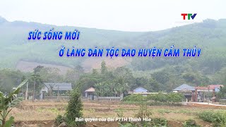 Sức sống mới ở làng dân tộc Dao huyện Cẩm Thủy, Thanh Hóa | Ký sự miền sơn cước