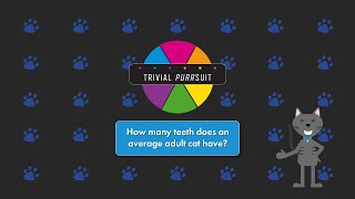Do You Know How Many Teeth Cats Have? by Gilbertsville Veterinary Hospital 92 views 3 years ago 39 seconds