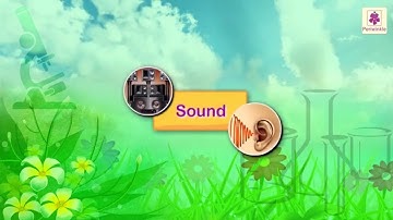 Sound | Science Grade 3 | Periwinkle