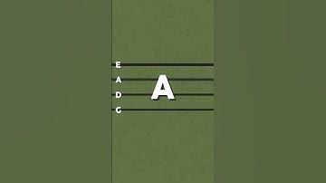 Fast CONTRABASS / DOUBLE BASS Tuner | Standard Tuning EADG by Dedalo #doublebass #contrabass #jazz