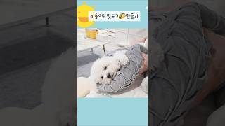 방석dog를 만들었어요.  #핫도그 #비숑 #두부 #강아지 #귀여운강아지