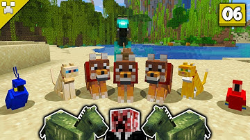 A RARE New Companion! | Python