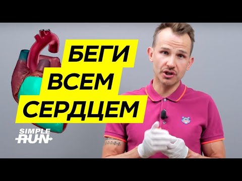 Что бег делает с сердцем 💗? Спортивное vs обычное ❤️