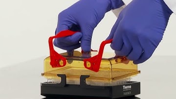 Thermo Scientific ClickSeal Biocontainment Lids