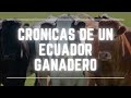 Crónicas de un Ecuador Ganadero - Capítulo 1