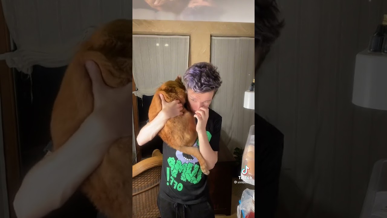 Картинки симбочки пимпочки младшего