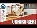 Ushiro Geri (Karate Kick)