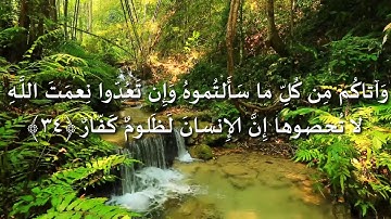 تلاوة رائعة من سورة إبراهيم للقارئ بلال بوعشرية