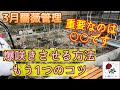 爆咲きもう1つのコツ‼️【3月薔薇管理】重要なのは○○です🌹芽吹きの楽しい季節😊🐻